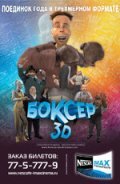 Боксер 3D (2004)